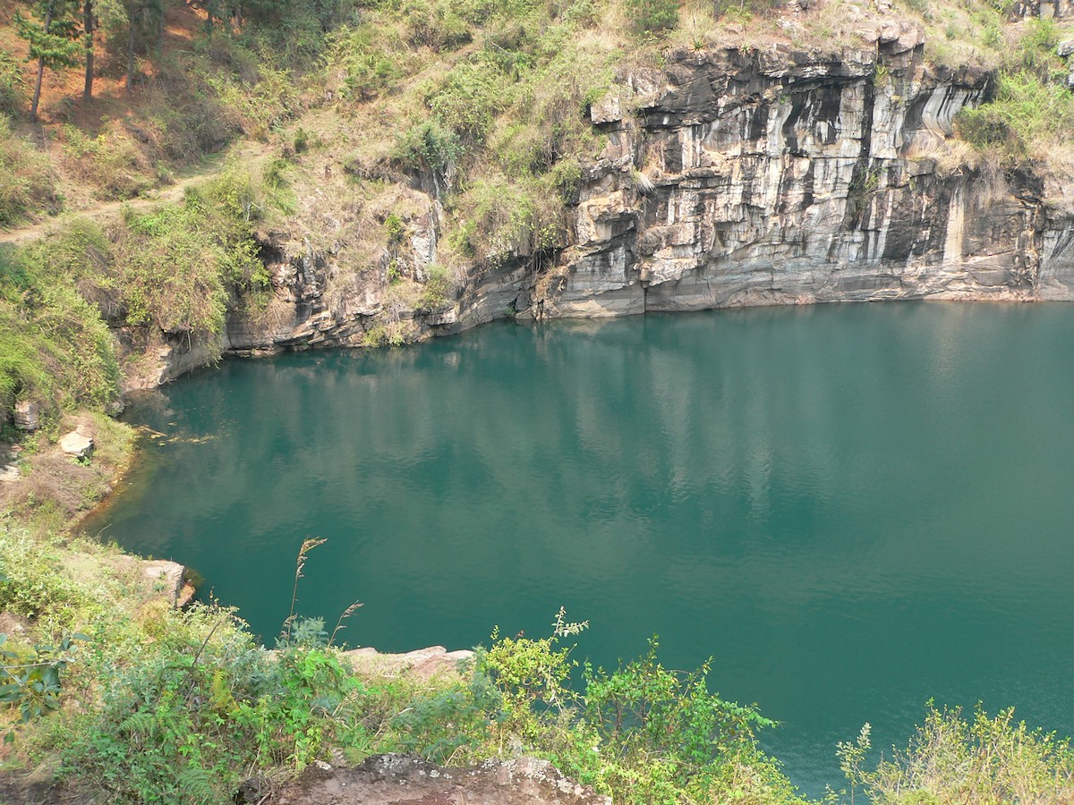 null - ML659702666