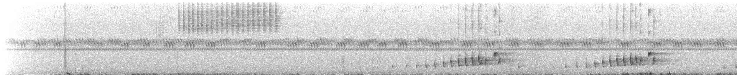 Buff-collared Nightjar - ML659721174