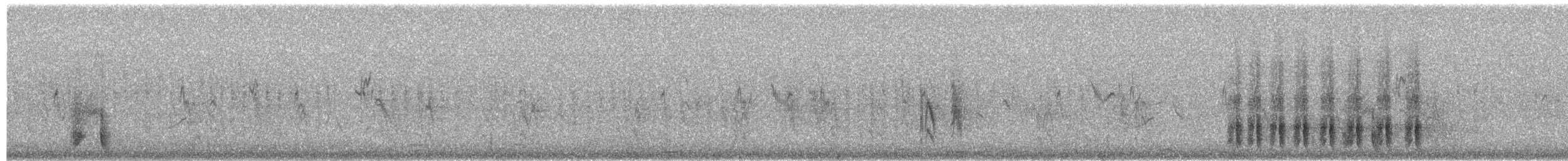 Pica sp. - ML659787796