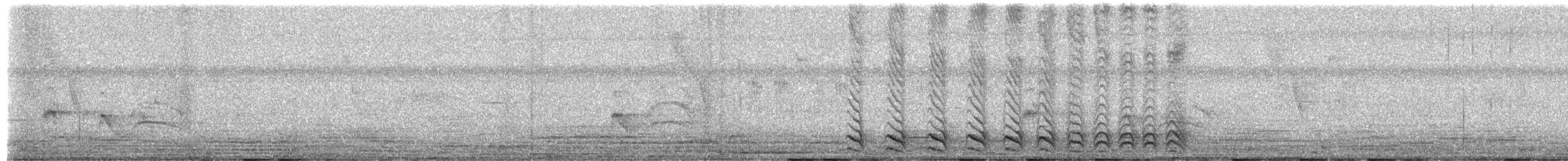 null - ML659810704