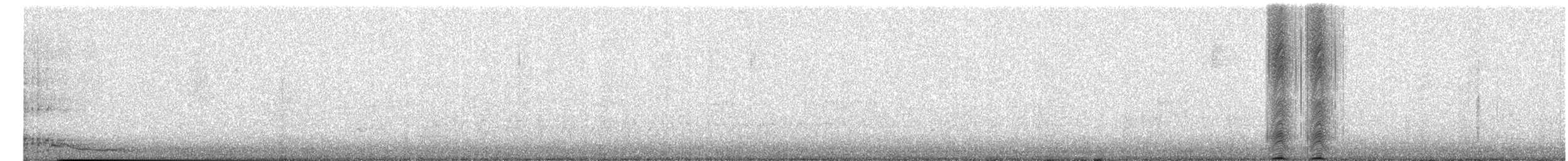 American Crow - ML659853250