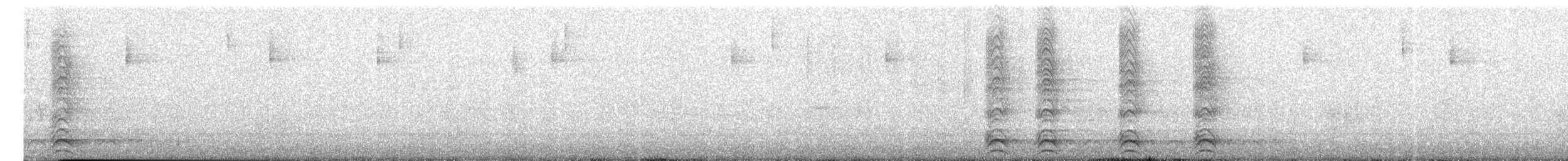 American Crow - ML659853293