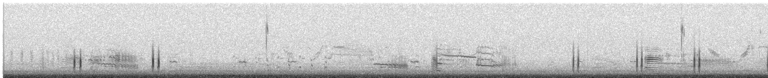 Least Seedsnipe - ML659868500