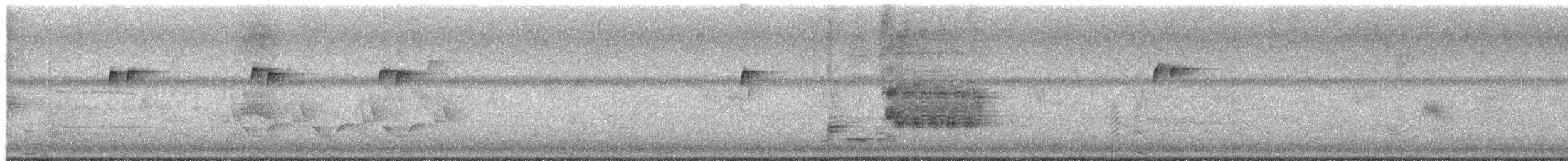 Northern Cardinal - ML659869893