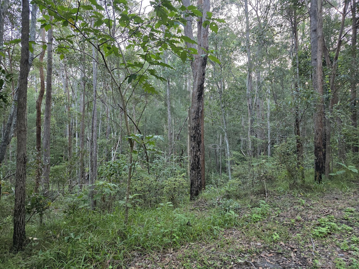 null - ML659884249