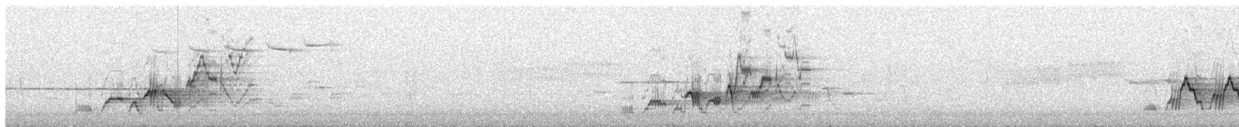 Дрізд-короткодзьоб Cвенсона - ML659887177