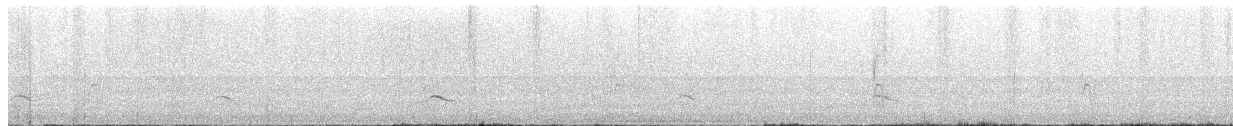 Канюк неоарктичний (підвид borealis) - ML659887287