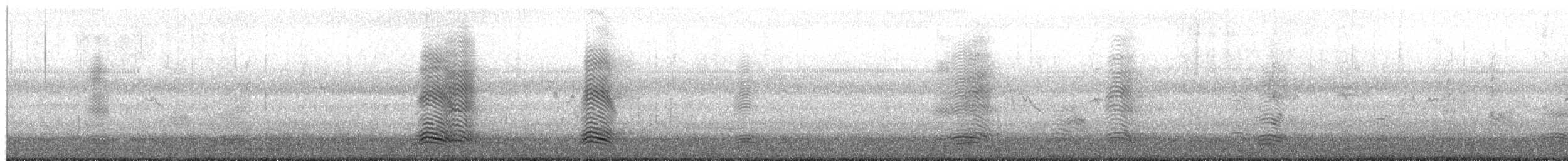 australkråke - ML659887855