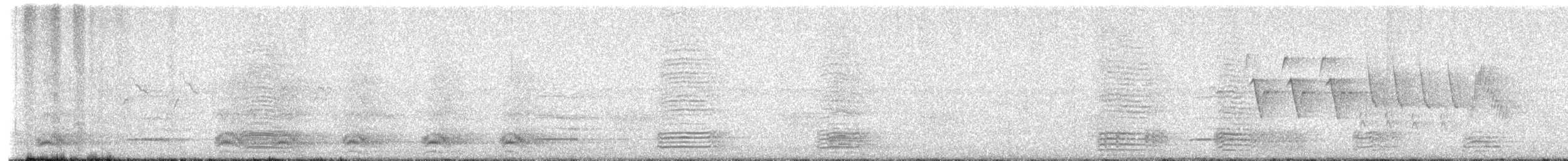 American Crow - ML659897543
