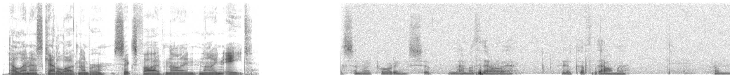 Пестрогорлый алапи (fjeldsaai) - ML65998