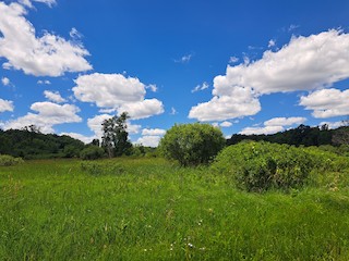 Pigeon River FWA (Steuben Co.), Steuben, Indiana, United States - eBird ...