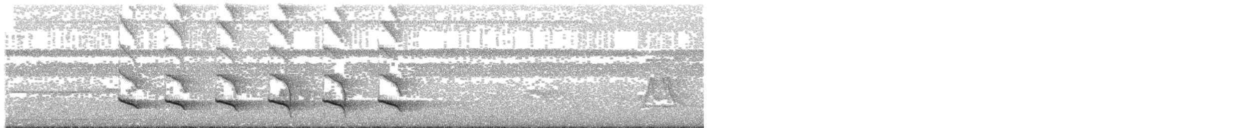 Kara Başlı Karıncakuşu (rufifrons/subcristata) - ML66003001