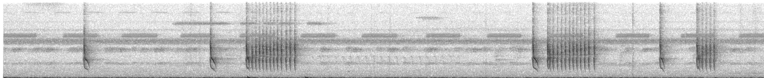 Troglodyte coraya - ML66003521