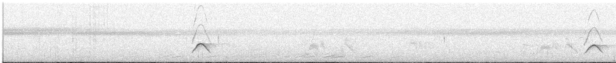Lesser Elaenia - ML66009231