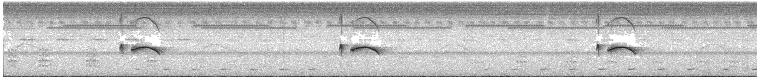 Spot-tailed Nightjar - ML66009341