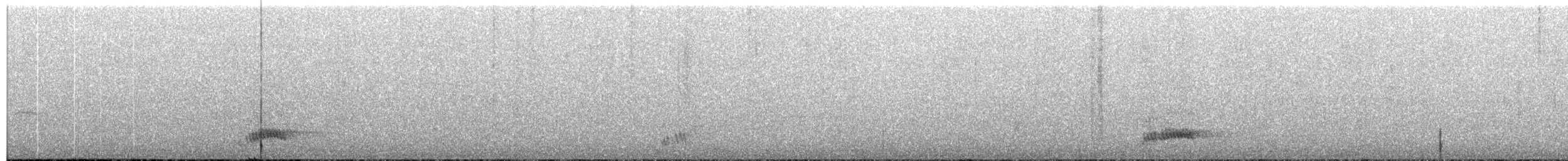 サメイロツグミ - ML66010131