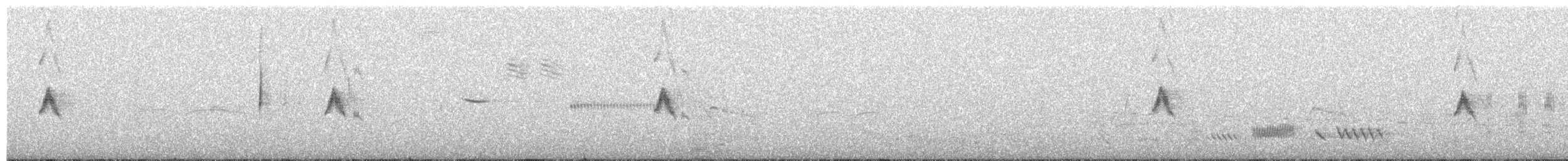 Southern Scrub-Flycatcher - ML66010361