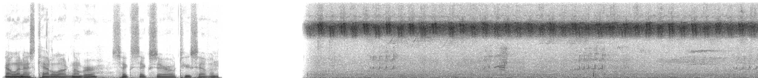 Nasenstreif-Honiganzeiger [minor-Gruppe] - ML66027