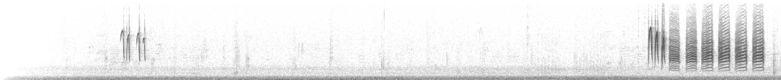 Schwarzkopfmeise - ML66035901