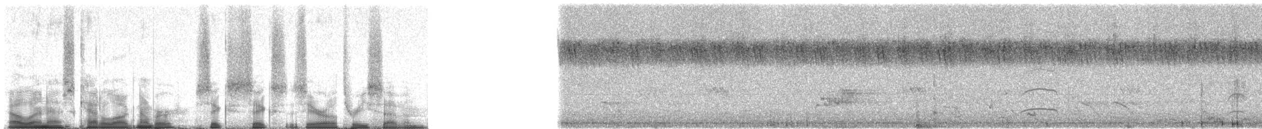 Nasenstreif-Honiganzeiger [minor-Gruppe] - ML66037
