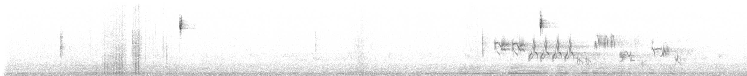 Bruant à couronne blanche (oriantha) - ML66041251