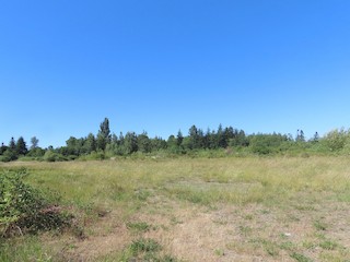 Ocean Grove Meadows, Comox-Strathcona, British Columbia, Canada - eBird ...