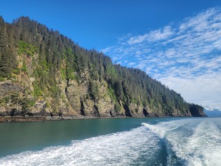 Lowell Point, Kenai Peninsula Borough, Alaska, United States - eBird ...