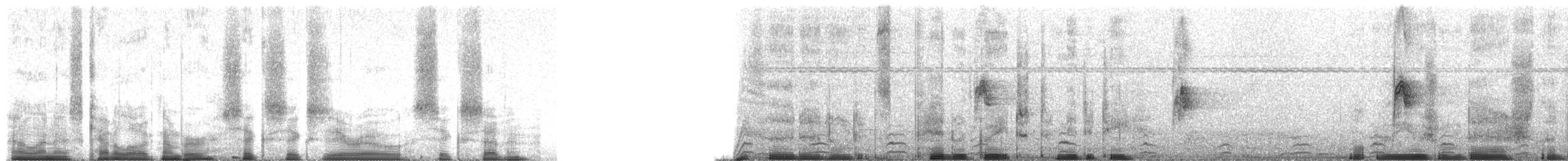 Buztanikara argia - ML66067