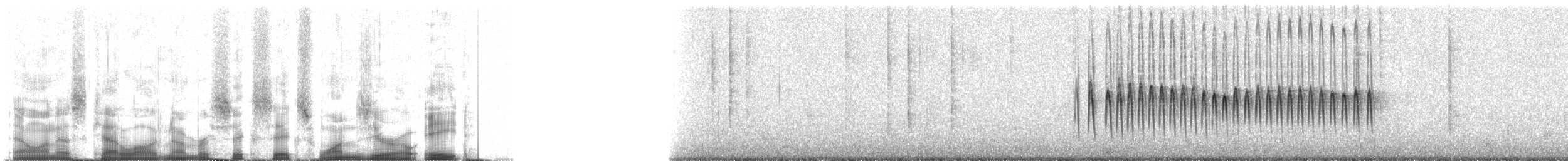 クリバネカワカマドドリ - ML66108