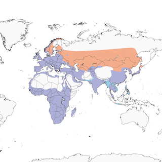 Distribution of the Gray Heron - Range Map
