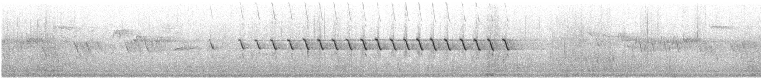 Rock Pipit - ML66121811