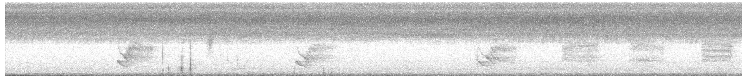 drozdec mnohohlasý - ML66122021