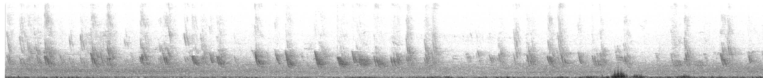 ムラサキツバメ（hesperia） - ML66148431