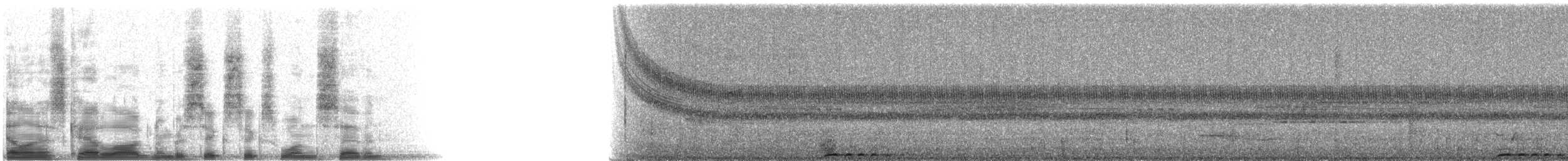 Rufous Motmot - ML6617