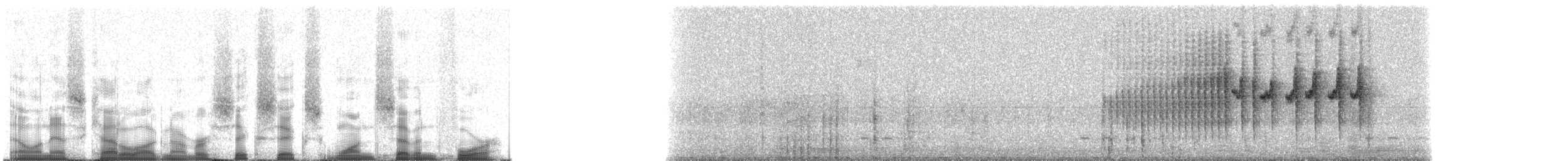 Kurzschwanz-Dickichtschlüpfer (cinereiventris) - ML66174