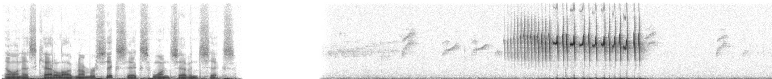 Kurzschwanz-Dickichtschlüpfer (cinereiventris) - ML66176