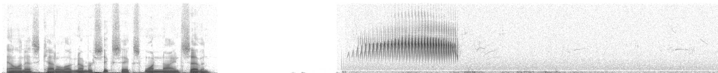 Streak-backed Canastero (Streak-backed) - ML66197