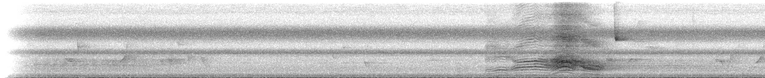 Spotted Catbird - ML66209851