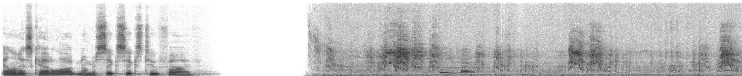 Russet-crowned Motmot - ML6625