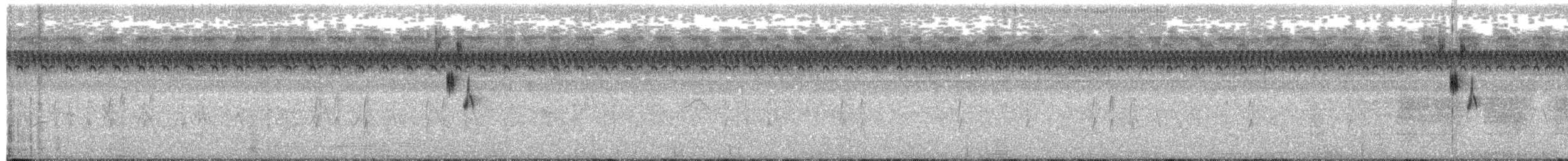 Henslow's Sparrow - ML66259951