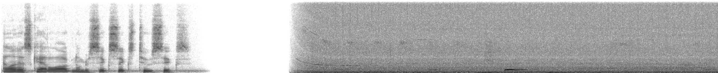 Russet-crowned Motmot - ML6626