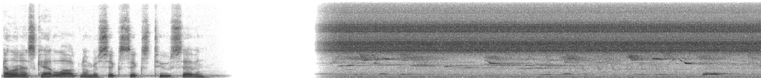 Russet-crowned Motmot - ML6627