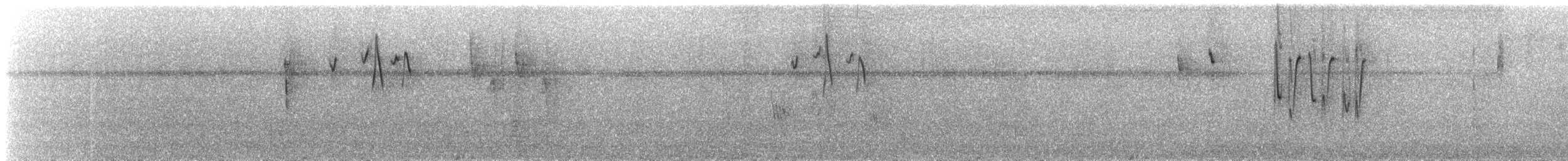 Conirostre oreillard - ML66288591