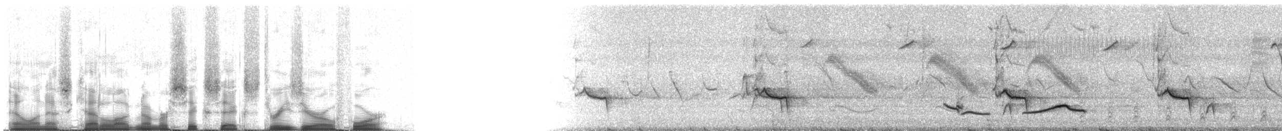 Schwarzschnabeldrossel (debilis) - ML66304