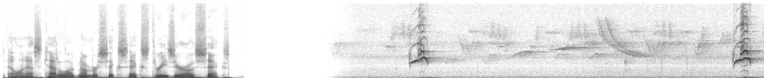 Schwarzschnabeldrossel (debilis) - ML66306