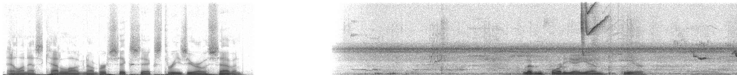 Schwarzschnabeldrossel (debilis) - ML66307
