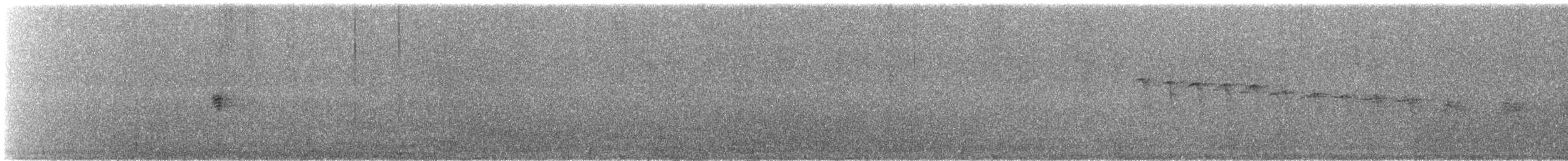 Mirlo Acuático Coroniblanco - ML66309351