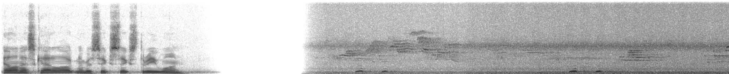 Lesson's Motmot - ML6631