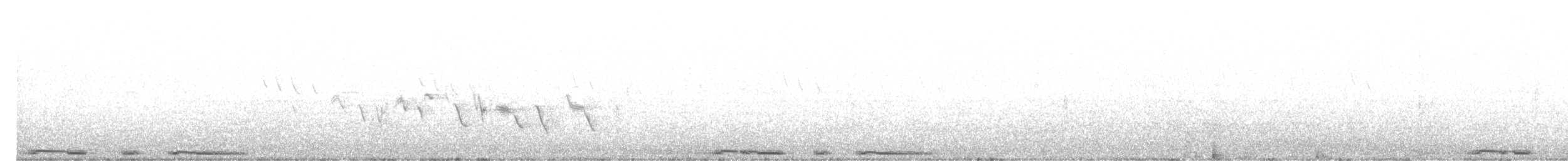 Tourterelle à ailes blanches - ML66351041