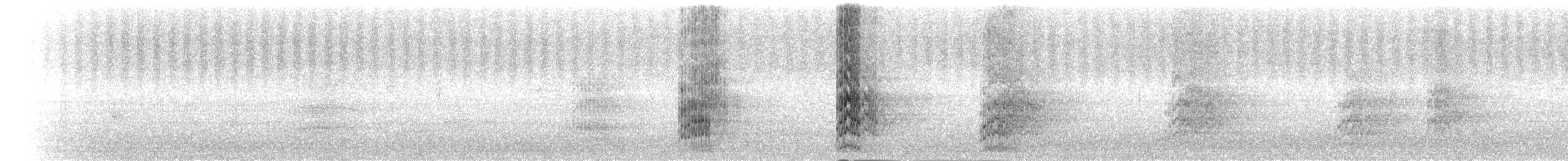 和尚鸚鵡 - ML66354351